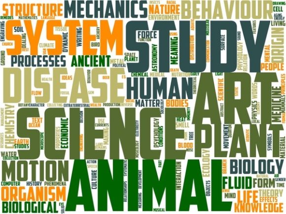 Aeropalynology Wordart Sublimation