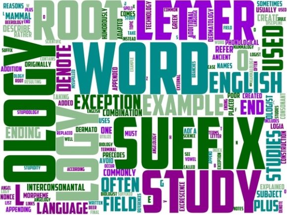 Amphibiology Wordart Background: A Versatile Design Asset for Creative Expression and Brand Storytelling