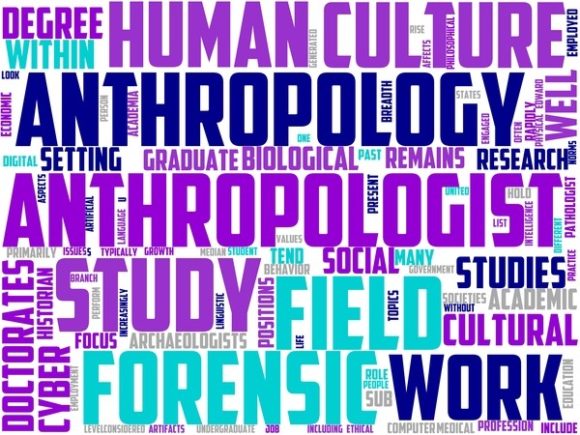 Anthropologist Wordart Wallpaper: Inspire Creativity Across Everyday Design