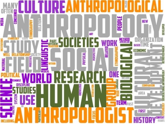 Anthropology Wordart Wallpaper