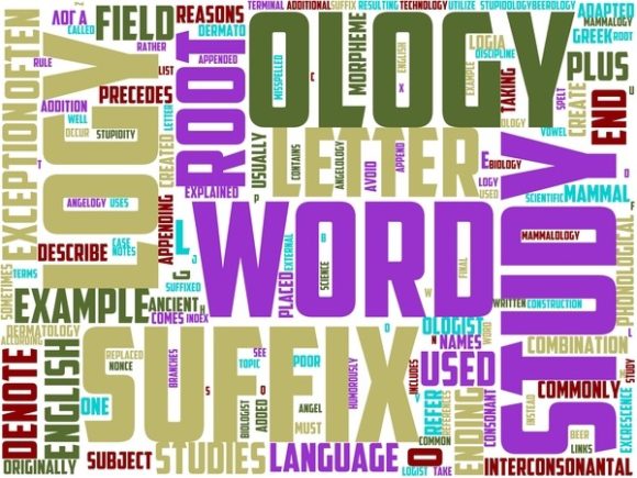 Autonumerology Wordart Skinny Tumbler