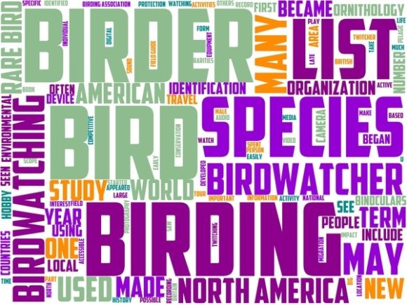 Birding Wordart Book Cover