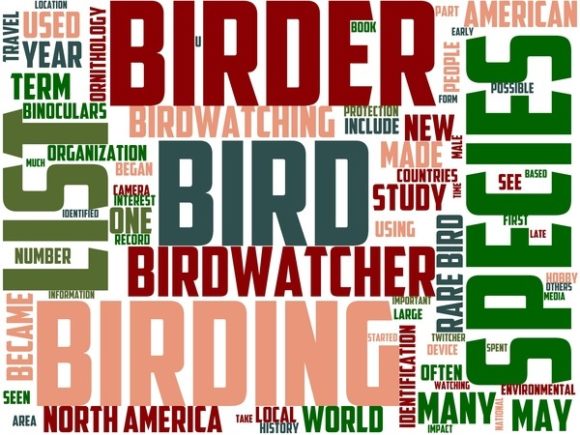 Birdwatching Wordart Print