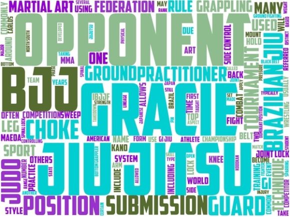 Brazilian Jiu Jitsu Wordart Book Cover