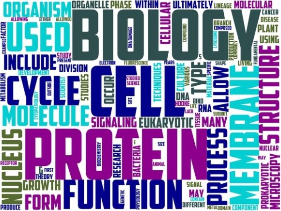 Cell Biology Wordart Sublimation: Inspire Science & Style