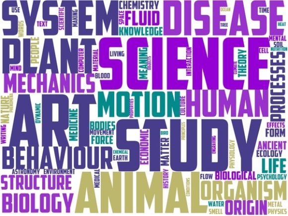 Chrysology Wordart Banner: A Hand-Drawn Spark for Creative Expression